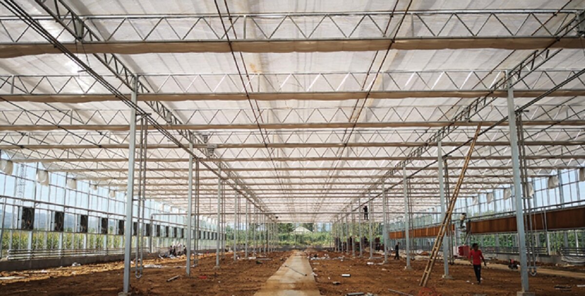 信橋鋼構(gòu)：打卡蒙陰農(nóng)業(yè)溫室大棚、青州黑牛養(yǎng)殖基地！(圖3)